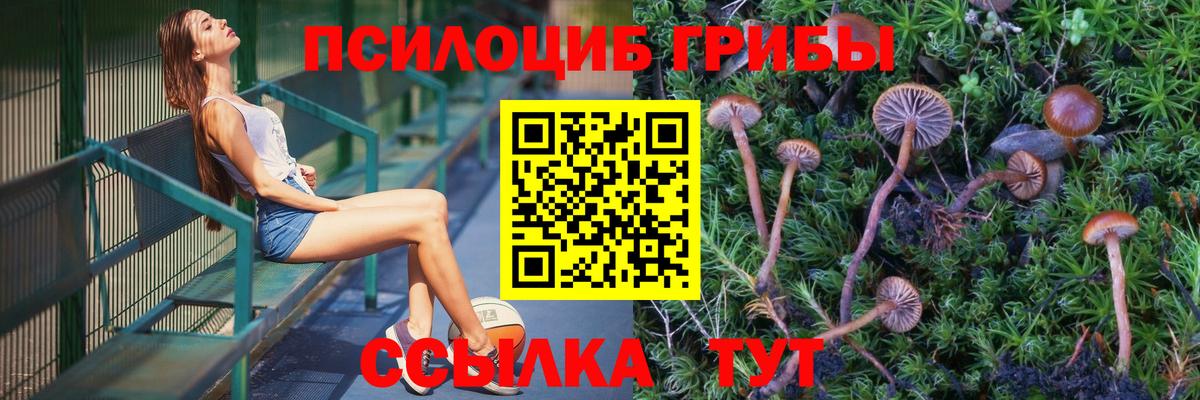 Псилоцибиновые грибы мицелий Балашов